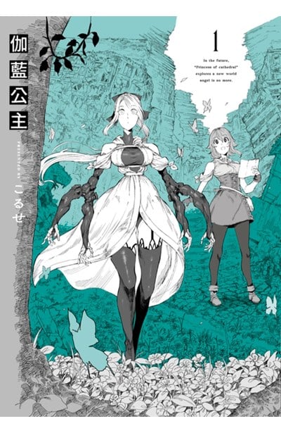 伽藍公主(01)封面