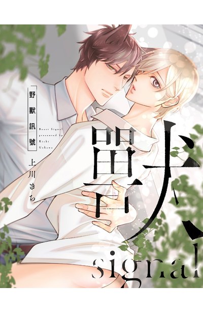 野獸訊號(全)附錄
