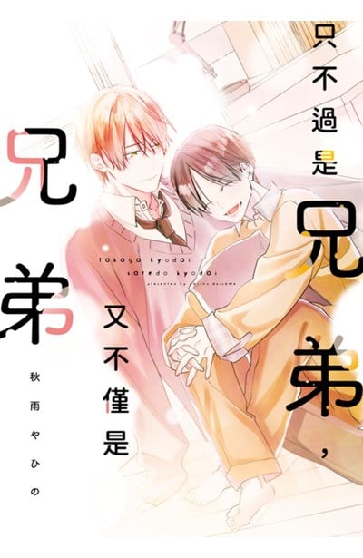 只不過是兄弟，又不僅是兄弟(全)封面