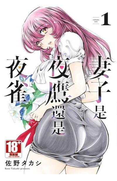 妻子是夜鷹還是夜雀(01)封面