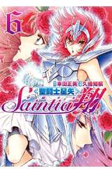 聖鬪士星矢 聖鬪少女翔(06)封面