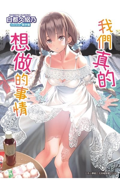 輕小說 我們真的想做的事情封面