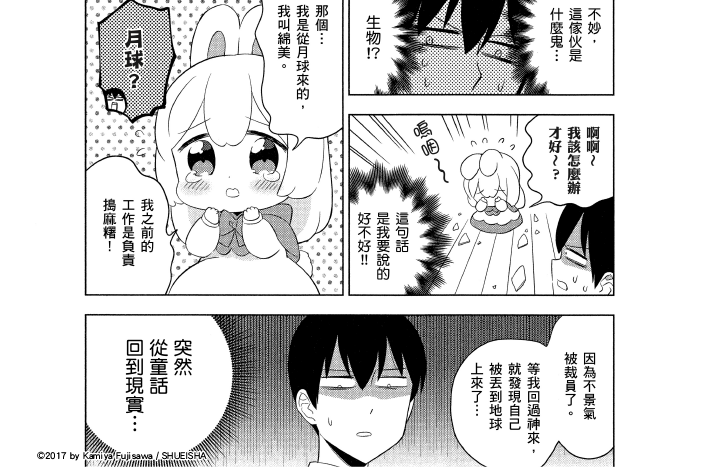 兔子目社畜科