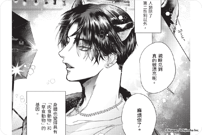 反對・虛假・婚姻