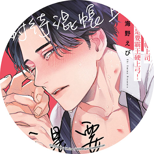 對待混帳上司就是要霸王硬上弓! 對待混帳上司就是要霸王硬上弓!