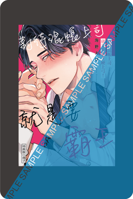 12P小冊子 12P小冊子