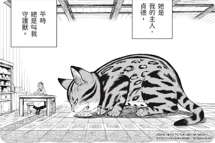 異世界貓與不愉快的魔女