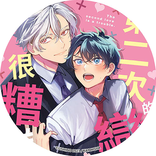 第二次的戀愛很糟糕 第二次的戀愛很糟糕