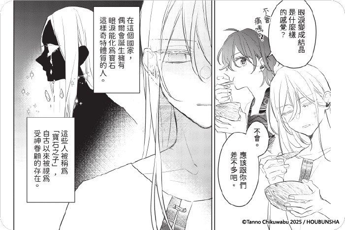 寶石之子