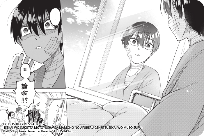 救世主《彌賽亞》～曾拯救異世界的前勇者在滿是魔物的現實世界展露無敵身手～