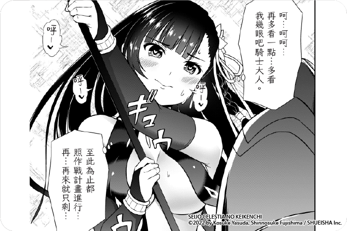 聖女賽蕾絲提亞的經驗值