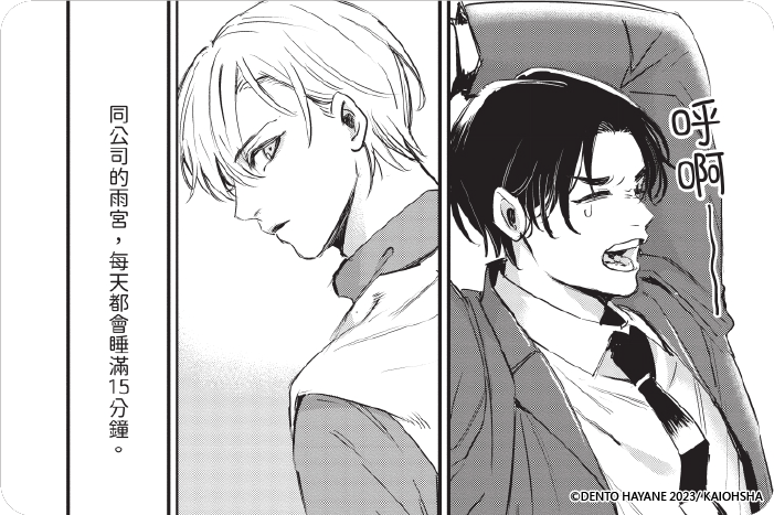 不眠的美人 不眠的美人