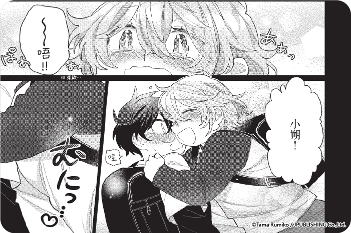 伴侶遊戲。