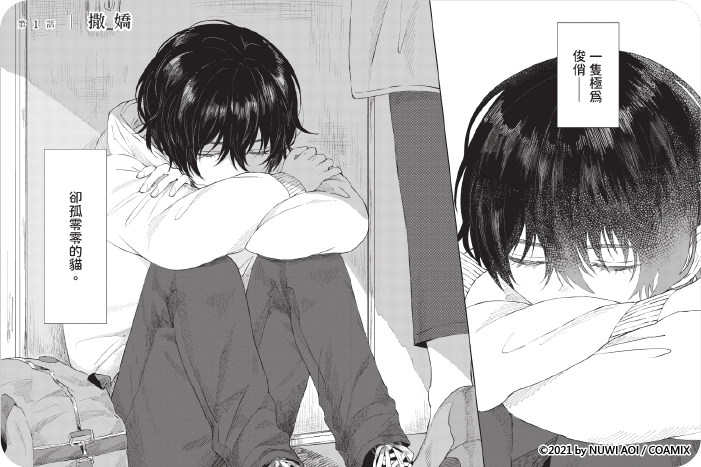 我養的少年 我養的少年