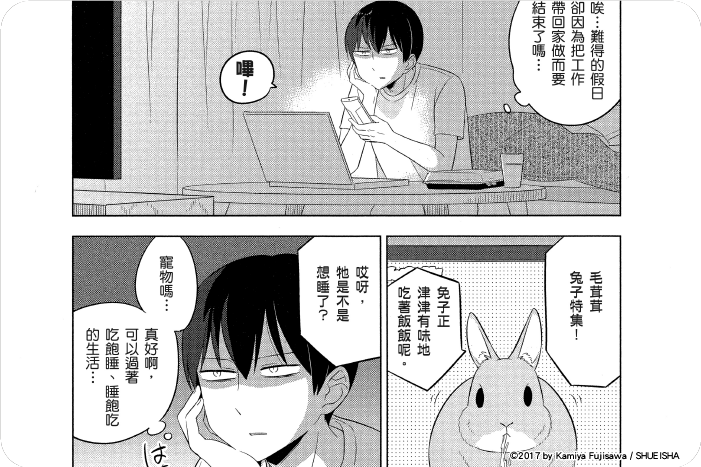 兔子目社畜科